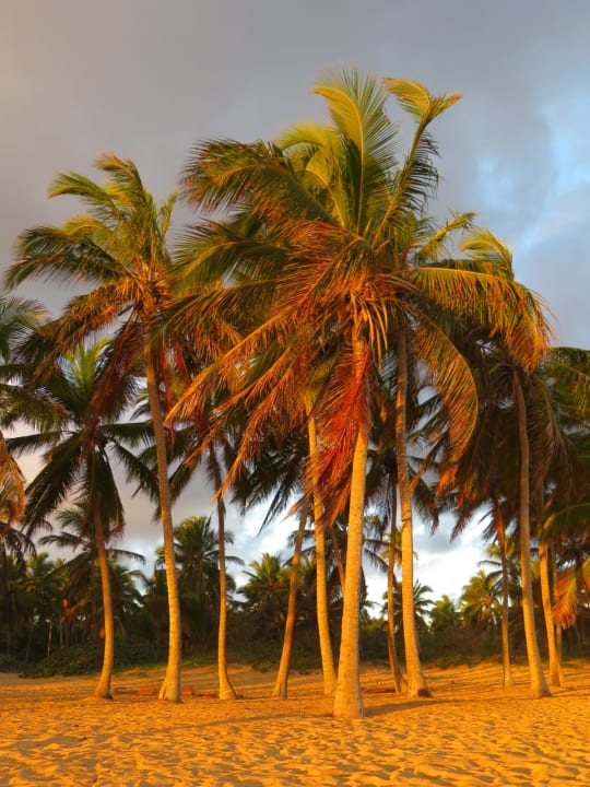 Strand Excellence Punta Cana - Adults only