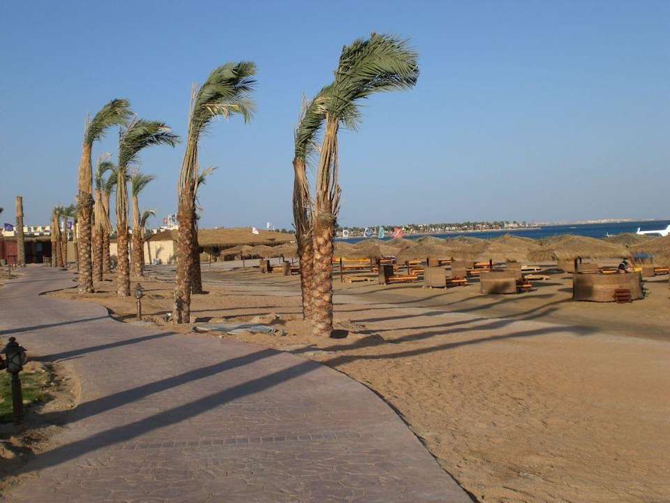 Am Strand Sentido Caribbean World Soma Bay