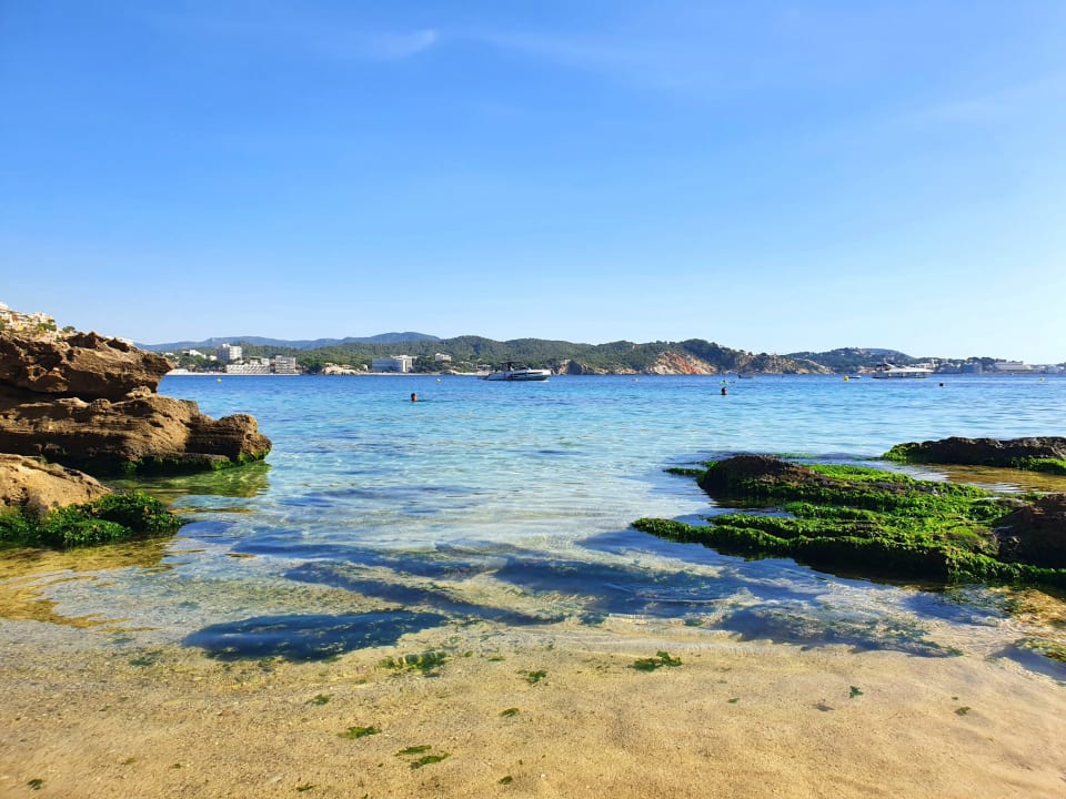 Strand Paguera Treff Boutique Hotel