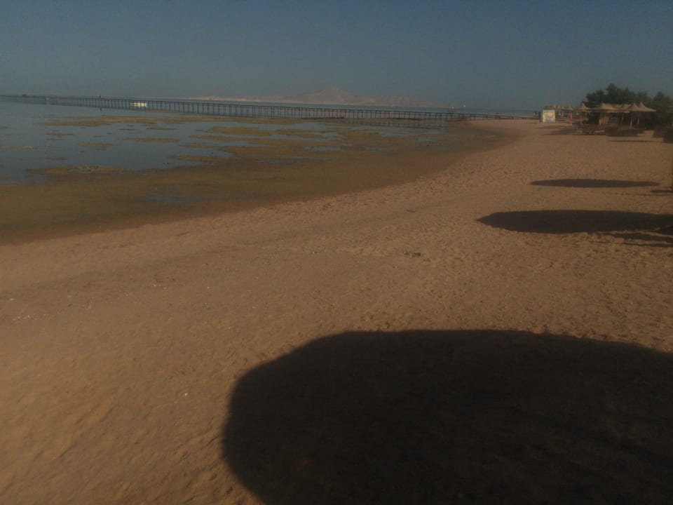 Strand  Pickalbatros Royal Moderna Resort-Sharm El Sheikh