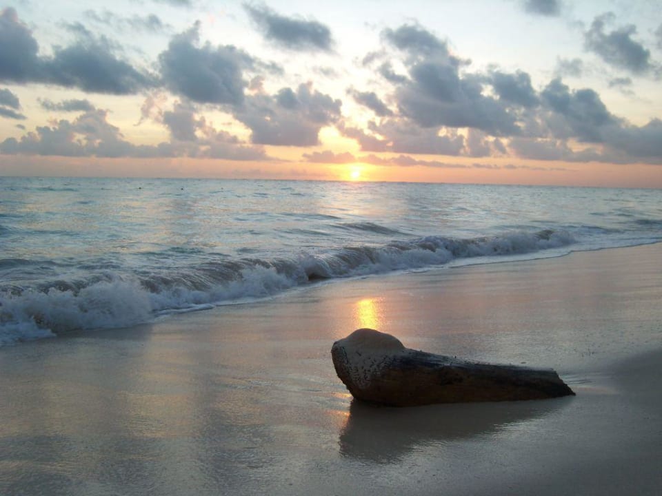 Sonnenaufgang Grand Palladium Select Bávaro Resort & Spa