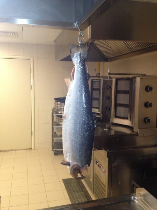 Frischer Fisch Susesi Luxury Resort