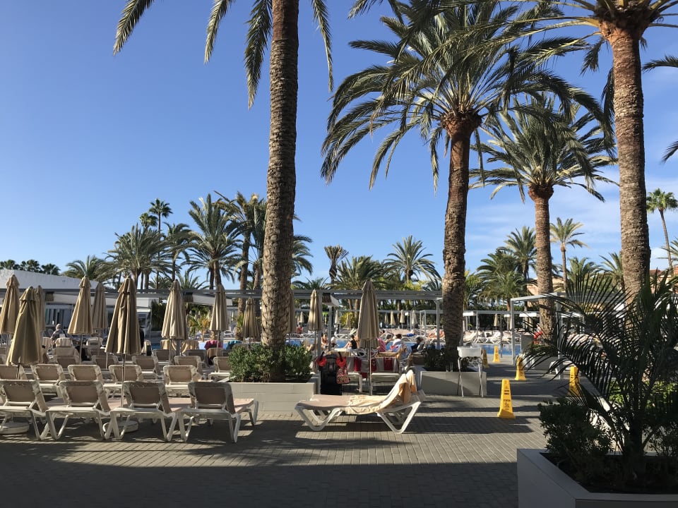 Pool Hotel Riu Papayas