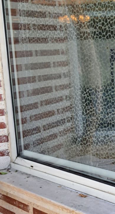 Gastro Papillon Ayscha