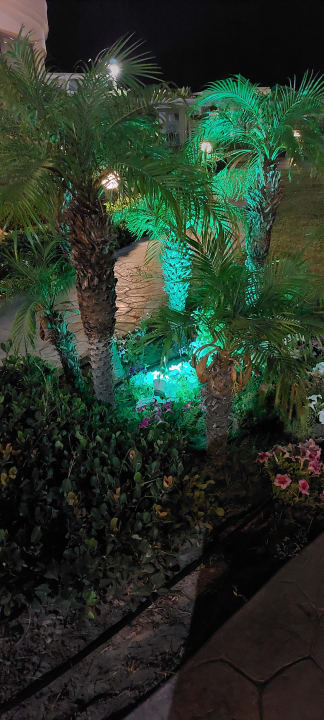 Gartenanlage Asterias Beach Resort