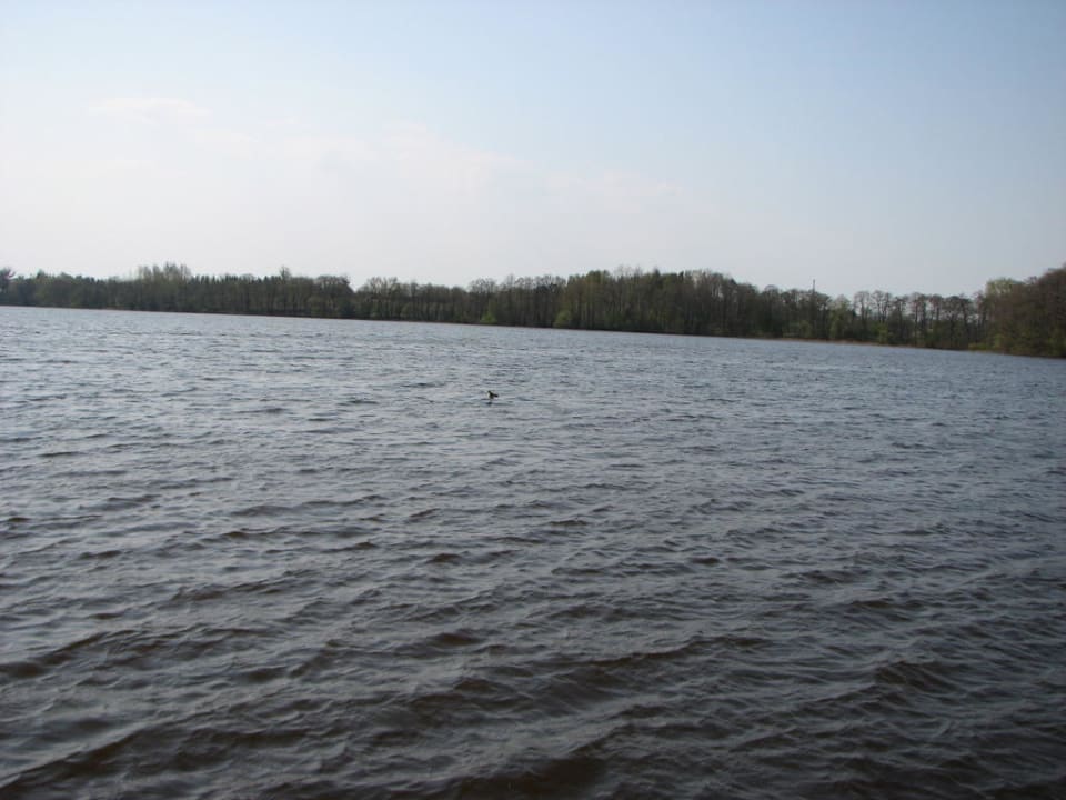 Jezioro przed hotelem. Hotel Solar Palace Spa & Wellness