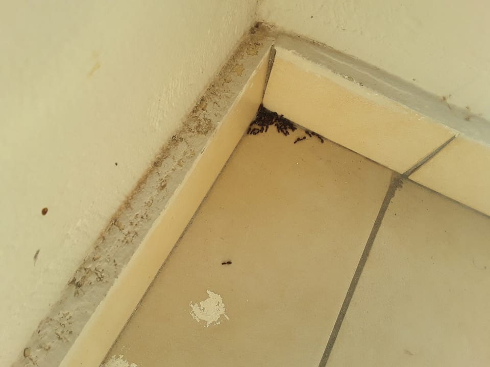 Zimmer Blue Lagoon Resort