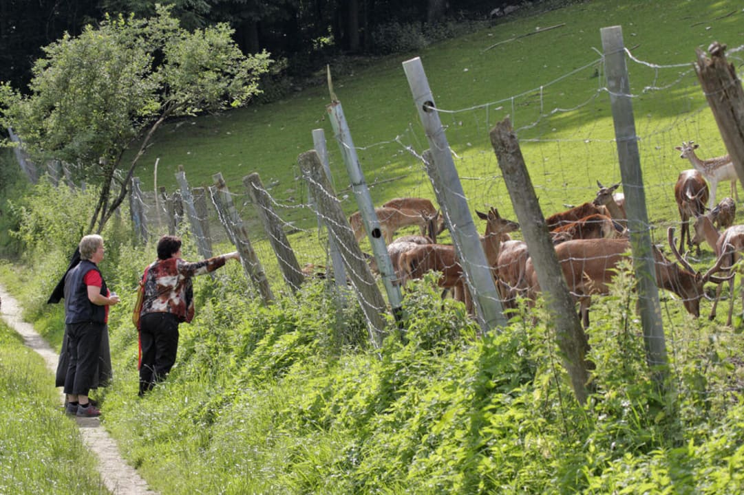 Wildgehege Berggasthof Oberkälberstein