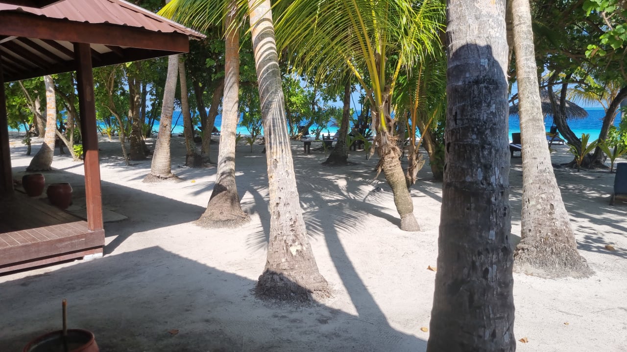 Ausblick Filitheyo Island Resort