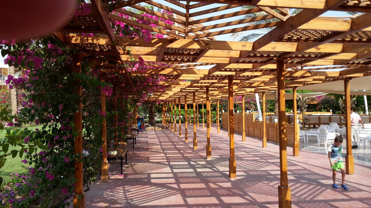 Außenansicht Desert Rose