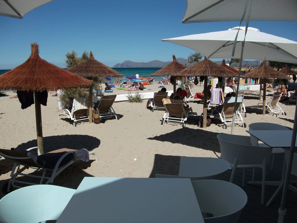 Strand vor dem Hotel The Sea Hotel by Grupotel - Adults only