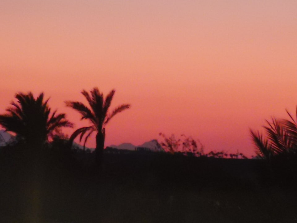 Ausblick Hotel JAZ Makadi Star & Spa