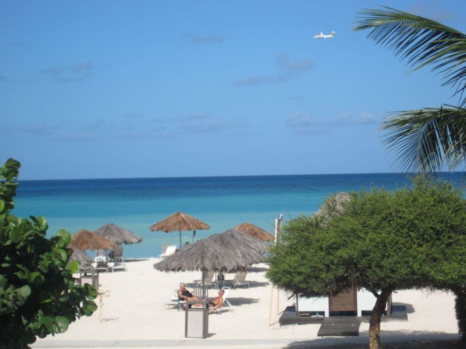 Aus dem Zimmer aufgenommen (Tara Beach Suite) Bucuti & Tara Beach Resort - Adults only