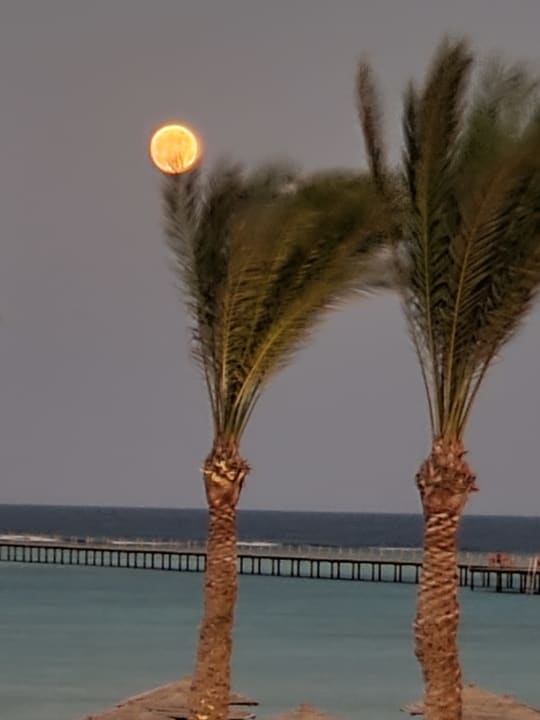 Strand Casa Mare Resort