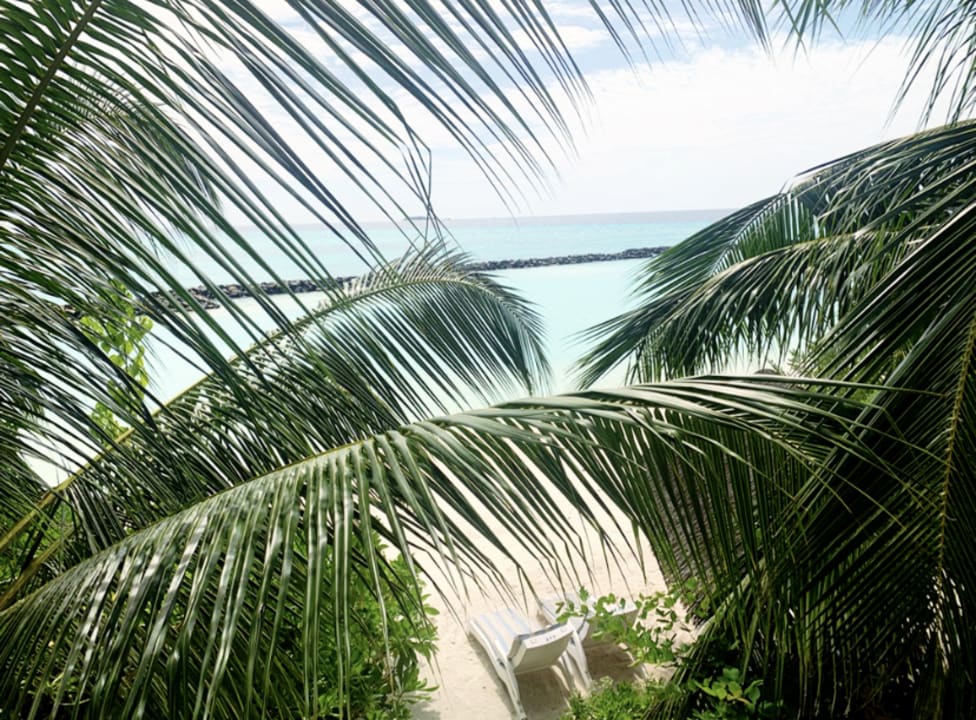 Ausblick Summer Island Maldives
