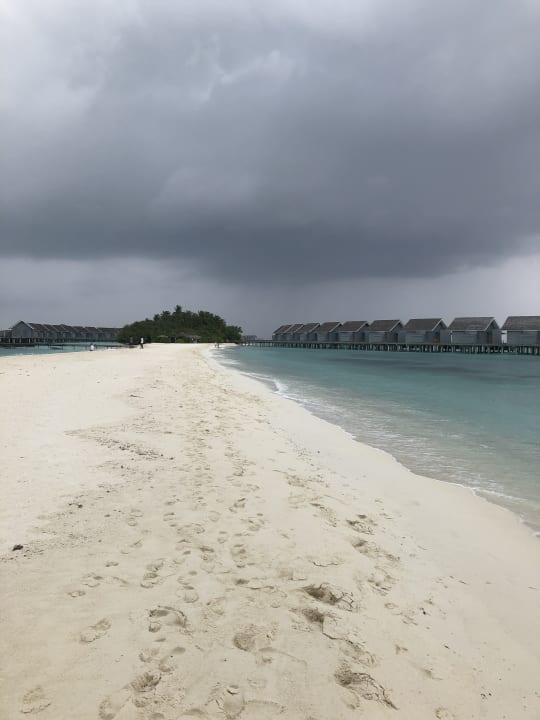 Strand Kuramathi Maldives