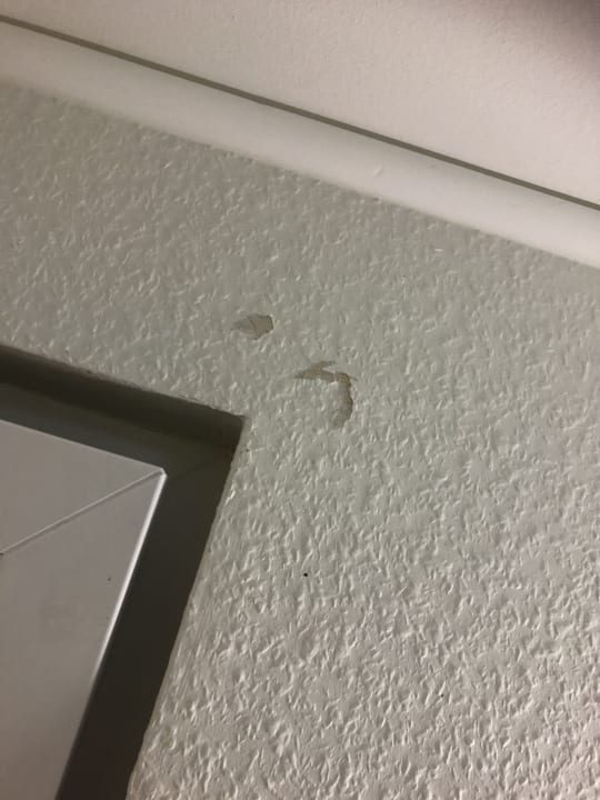 Zimmer Center Parcs Park Bostalsee