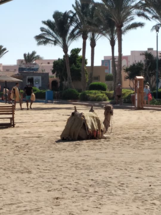 Strand Golden Beach Resort