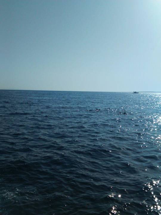 Meerblick Arabella Azur Resort