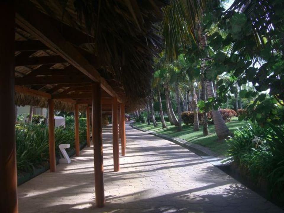 überdachter Weg durch die Anlage Catalonia Punta Cana - All Inclusive