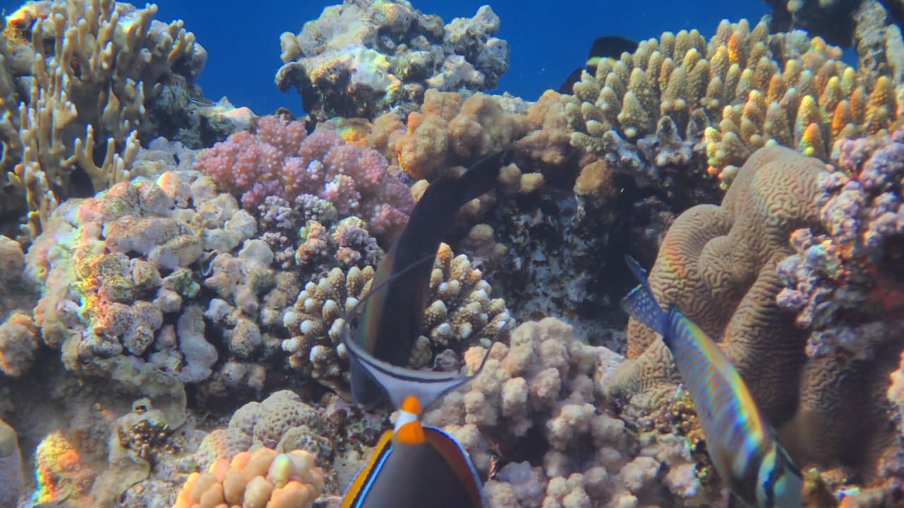 Strand Casa Mare Resort