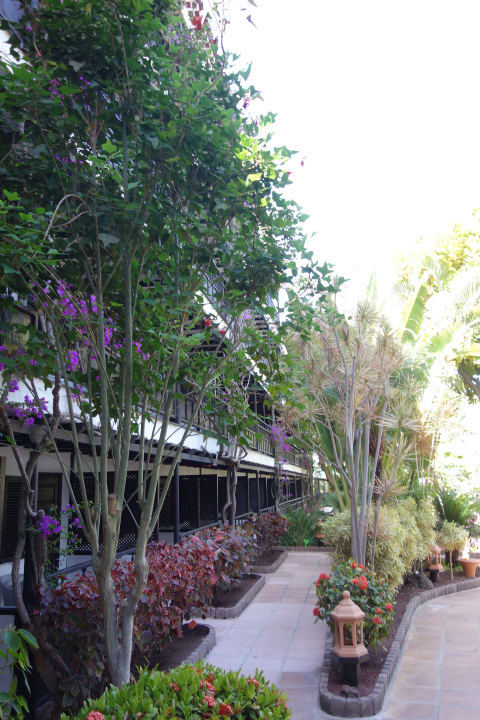 Gartenanlage Hotel Parque Tropical