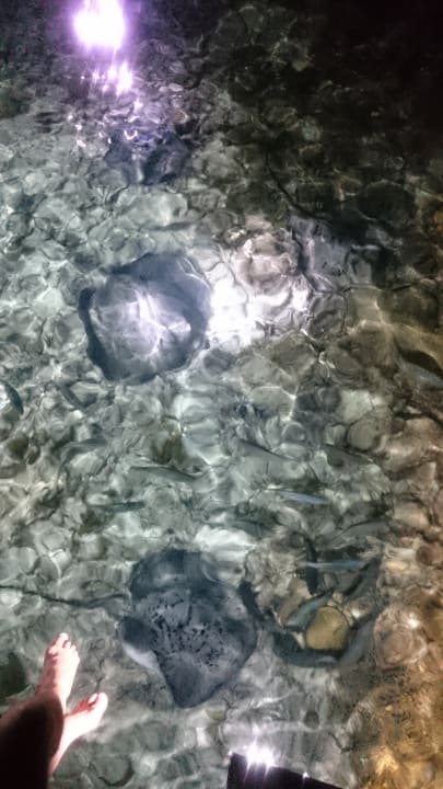 Strand Adaaran Select Meedhupparu Island Resort - Premium All Inclusive