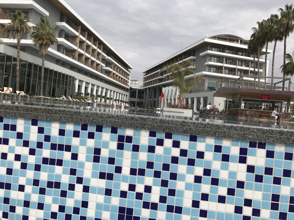 Pool Acanthus Cennet Barut Collection