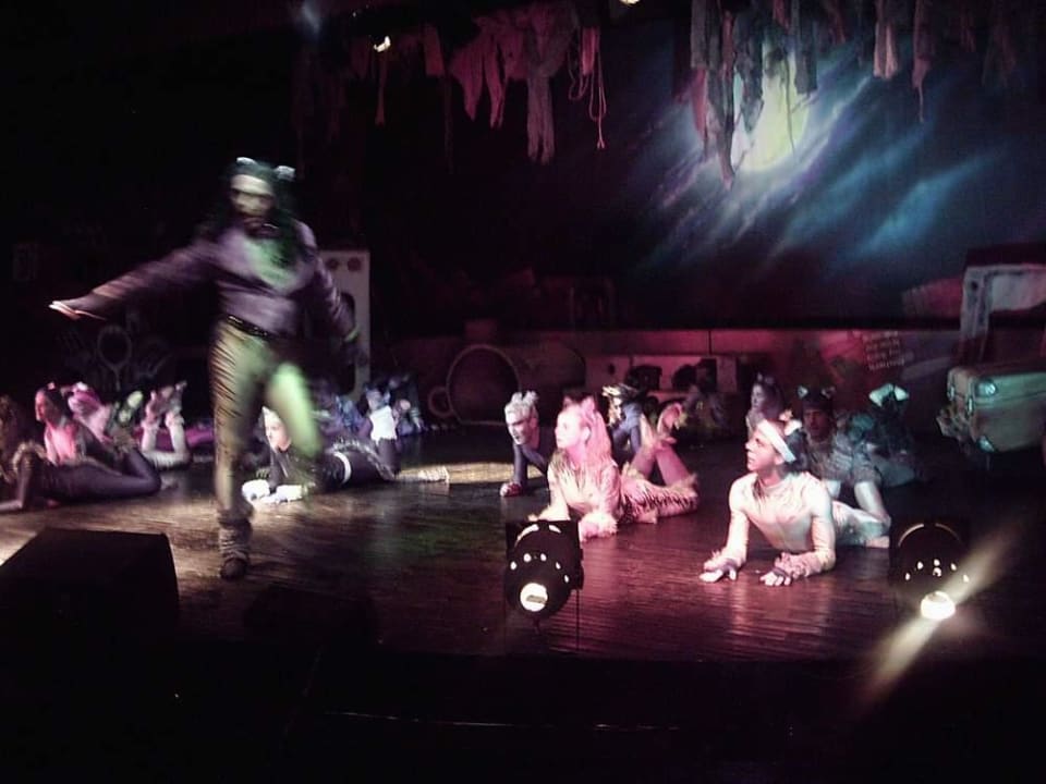 Cats Selectum Family Resort Side