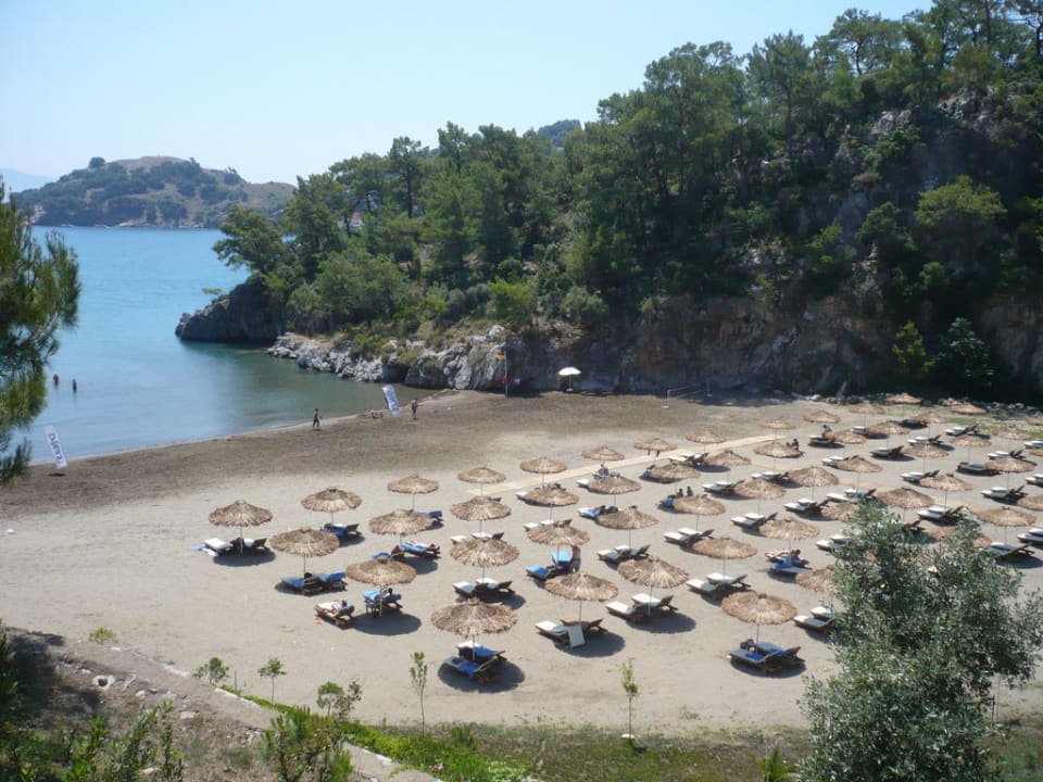 Hotelstrand  TUI BLUE Seno - Adults Only