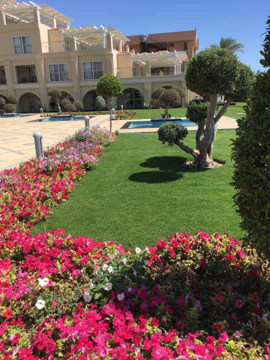 Gartenanlage Pickalbatros White Beach Resort - Hurghada