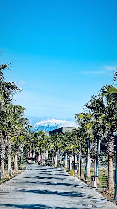 Gartenanlage Jacaranda Luxury Resort