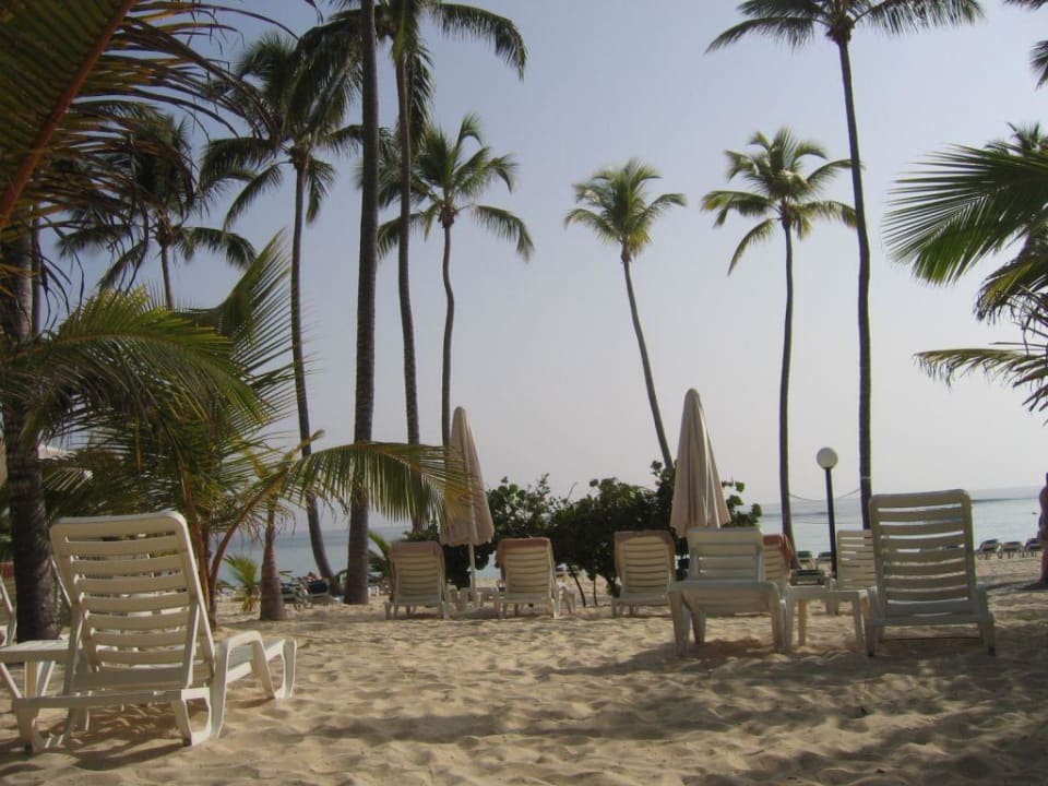 Hotelstrand Hotel Riu Palace Macao - Adults only