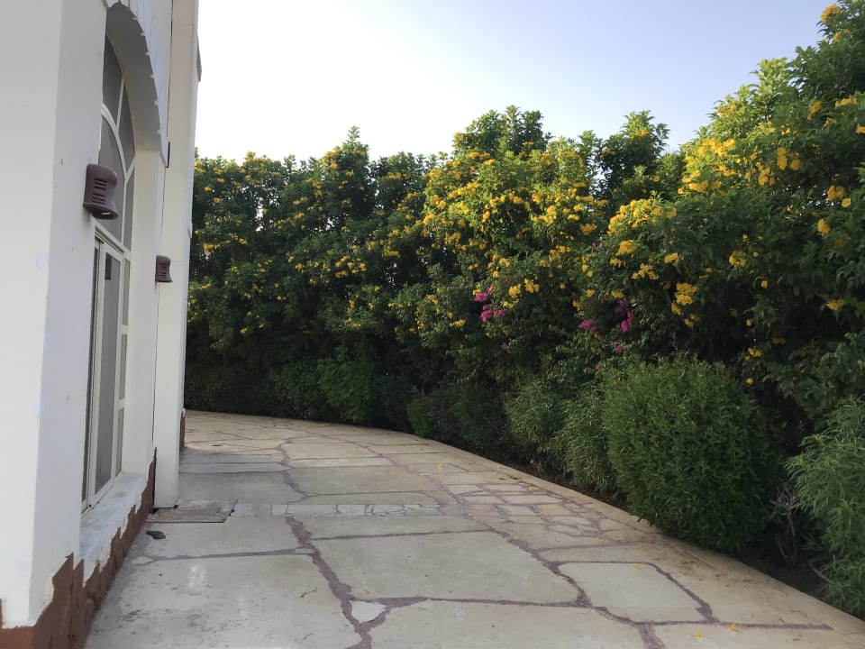 Gartenanlage Regency Plaza Aqua Park & Spa