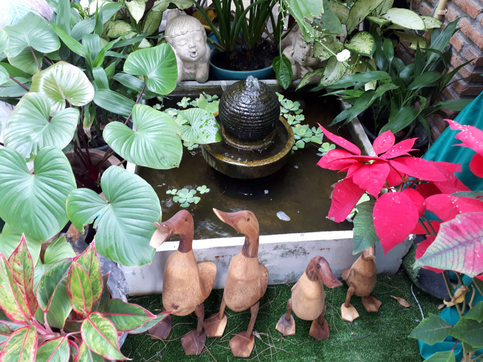 Im Garten  Laksasubha Hua Hin