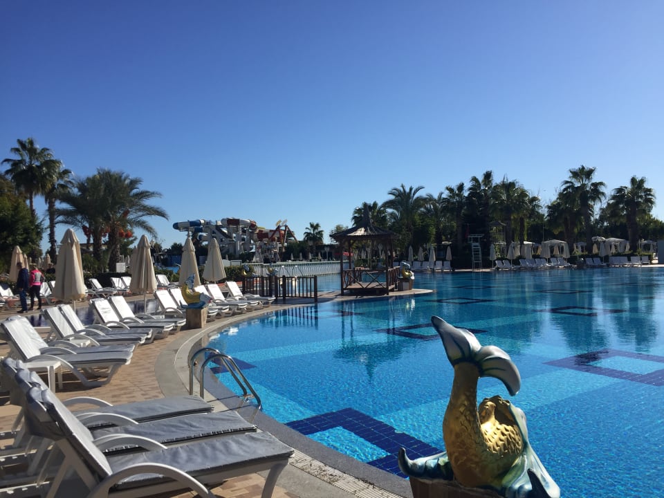 Pool Hotel Delphin Imperial