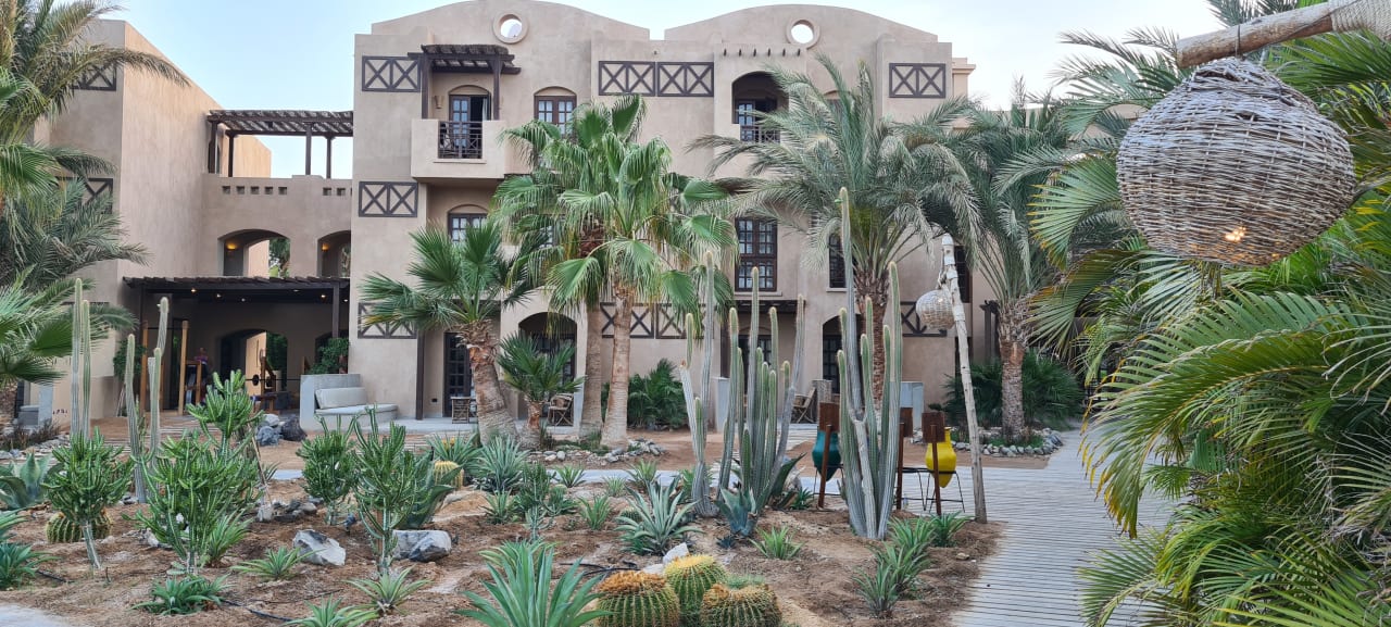 Gartenanlage Cook's Club El Gouna