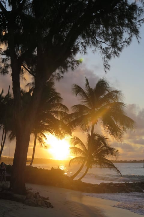 Sonnenaufgang Hotel Turtle Beach Resort