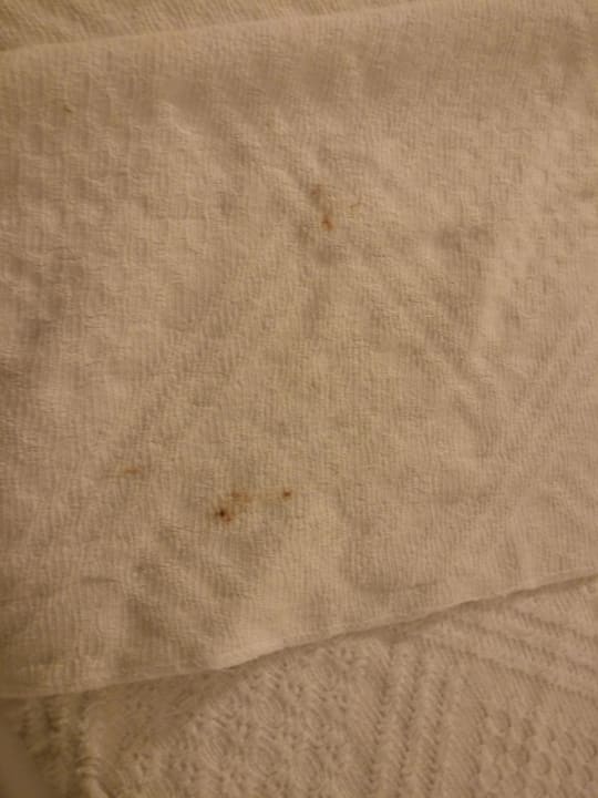 Sonstiges Solivia Hotel