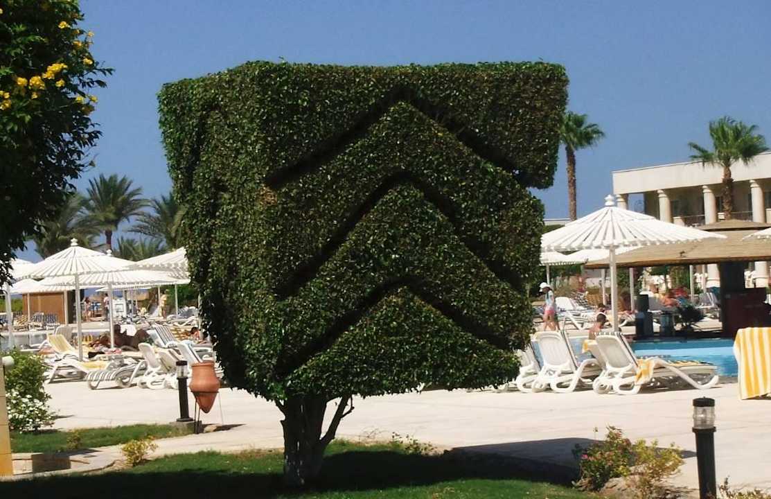 Liebevolle gestaltete Gartenanlage LABRANDA Royal Makadi