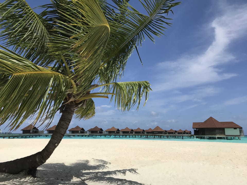 Strand ROBINSON MALDIVES
