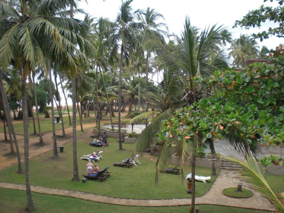 Ausblick in den Garten Royal Palms Beach Hotel