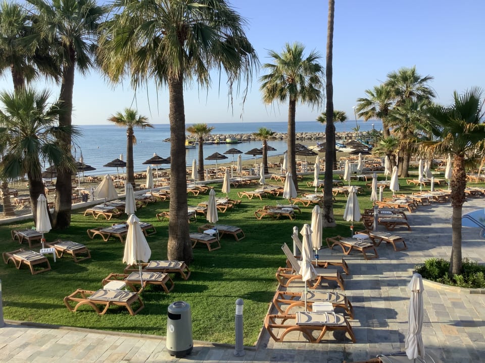 Gartenanlage The Golden Bay Beach Hotel