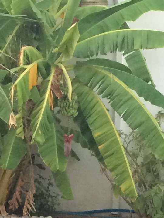 Strand Hotel Kathrin Beach