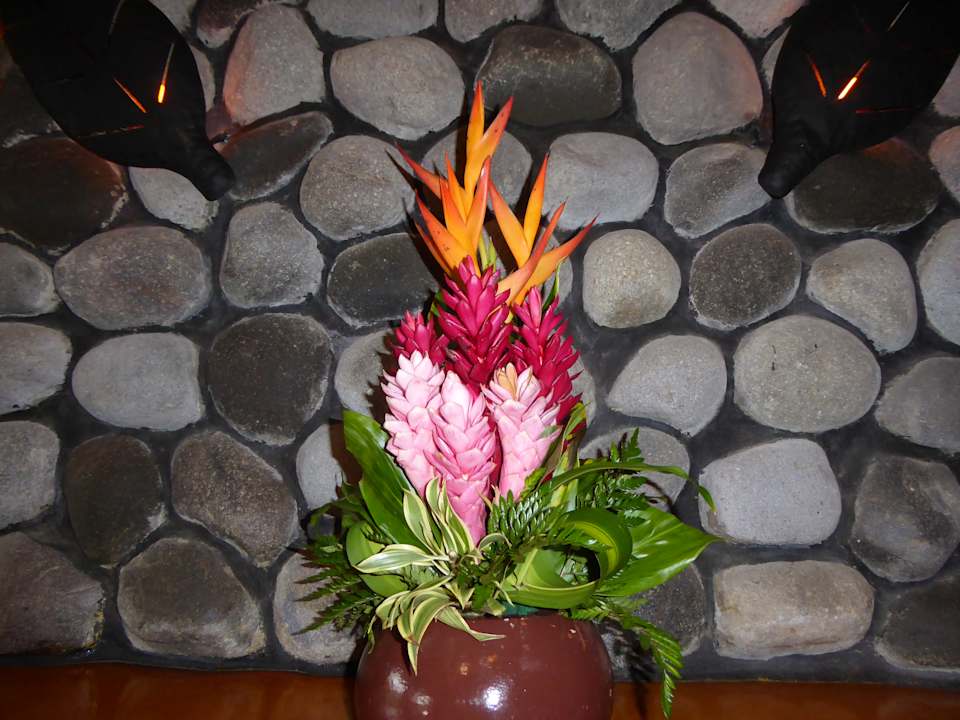 Sonstiges Hotel Peace Lodge