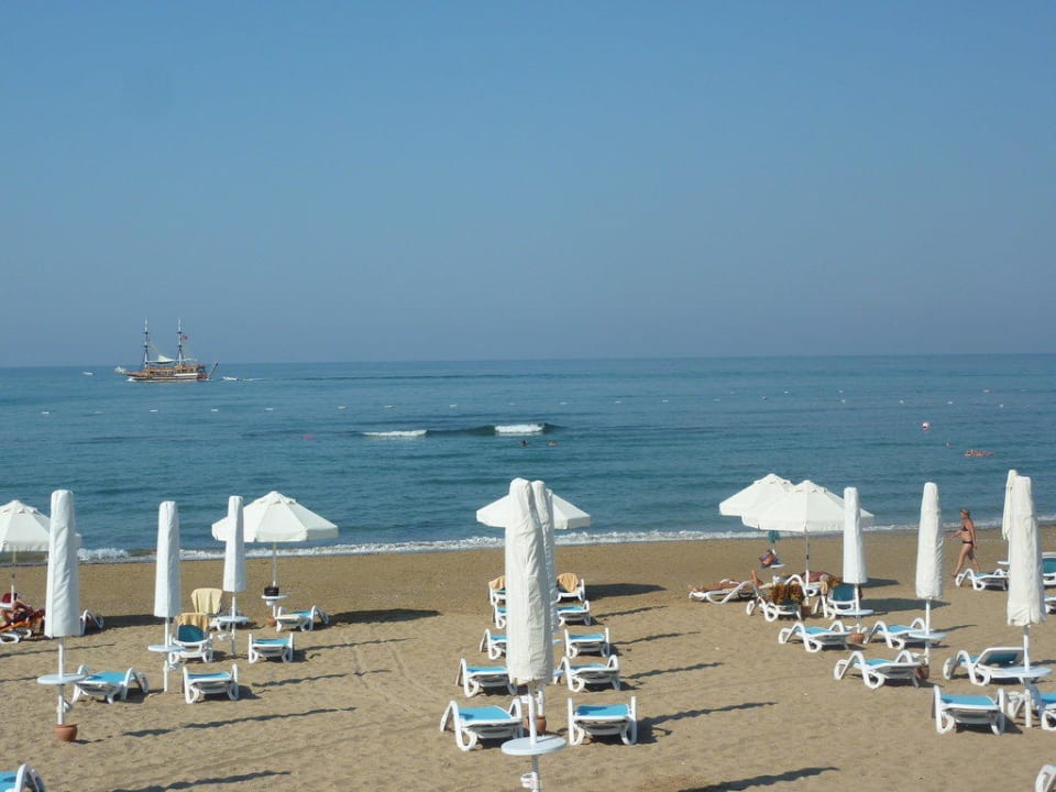 Sentido PALOMA Perissia