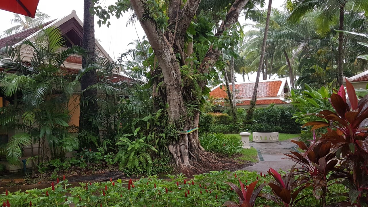 Gartenanlage Santiburi Koh Samui