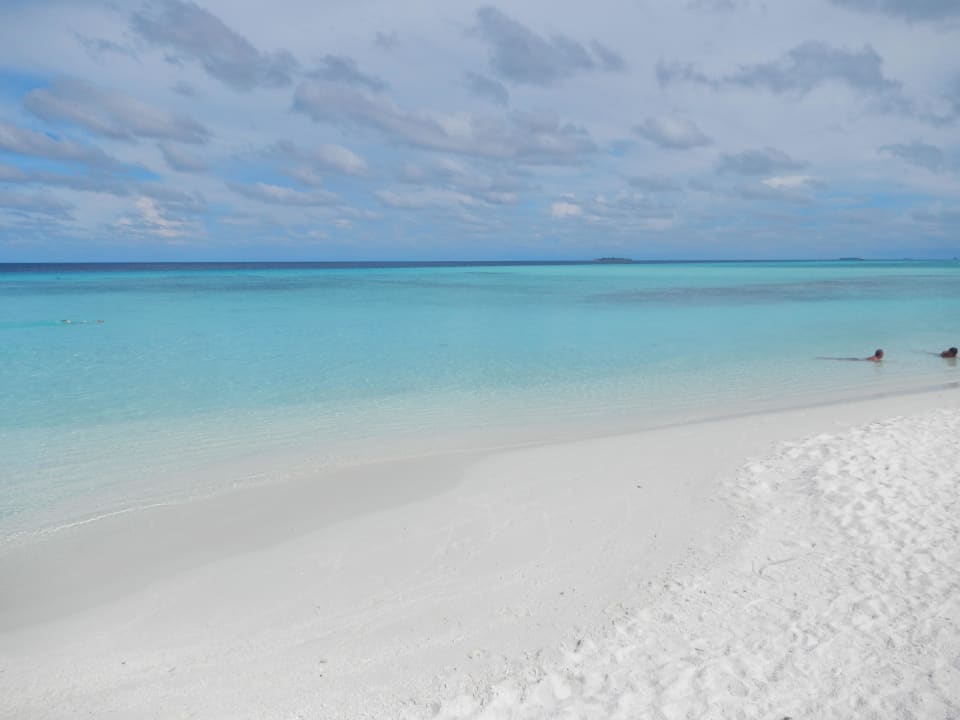 Strand Ostseite Summer Island Maldives