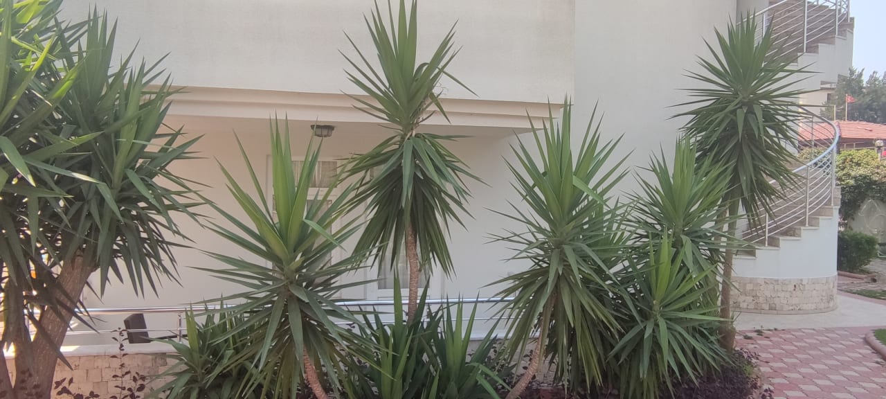 Außenansicht Merve Sun Hotel & Spa