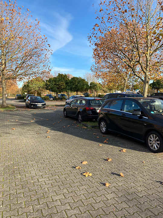 Außenansicht Best Western Parkhotel Brehna - Halle